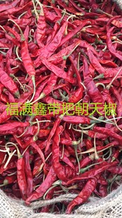 �S�ҬF؛���ѳ��콷��Ƥ�涼�t �t����l  �½����� �����t������