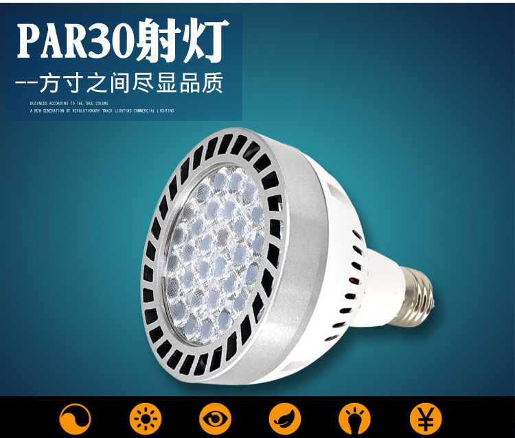 厂家热销PAR30射灯满天星款30W45W帕灯