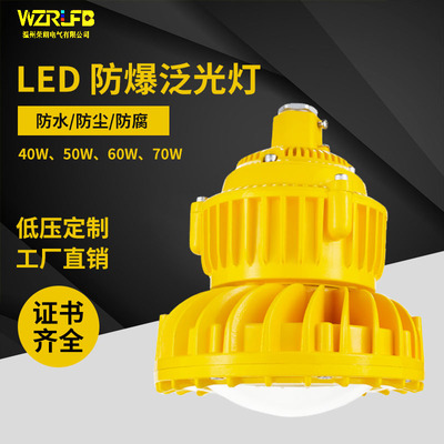 led防爆灯 40w50w60w70W免维护仓库厂房隔爆工矿灯施工照明投光灯