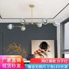 Coffee modern ceiling lamp for living room for bedroom, Amazon, internet celebrity