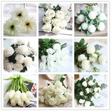 ���S��·����ɫ��cõ���Y�ɏ�����}�������m�����ѹ�Ӣ����