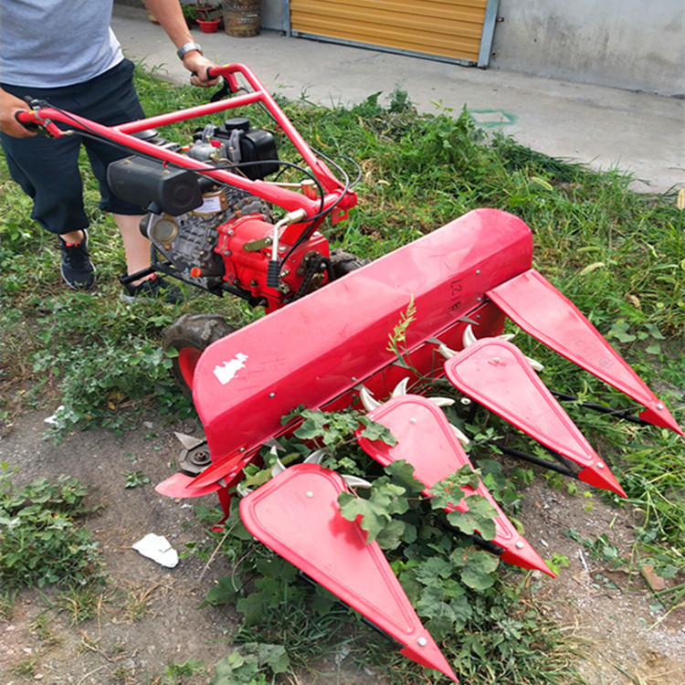 小型玉米割晒机视频 玉米草割晒机 芦苇收割机图片