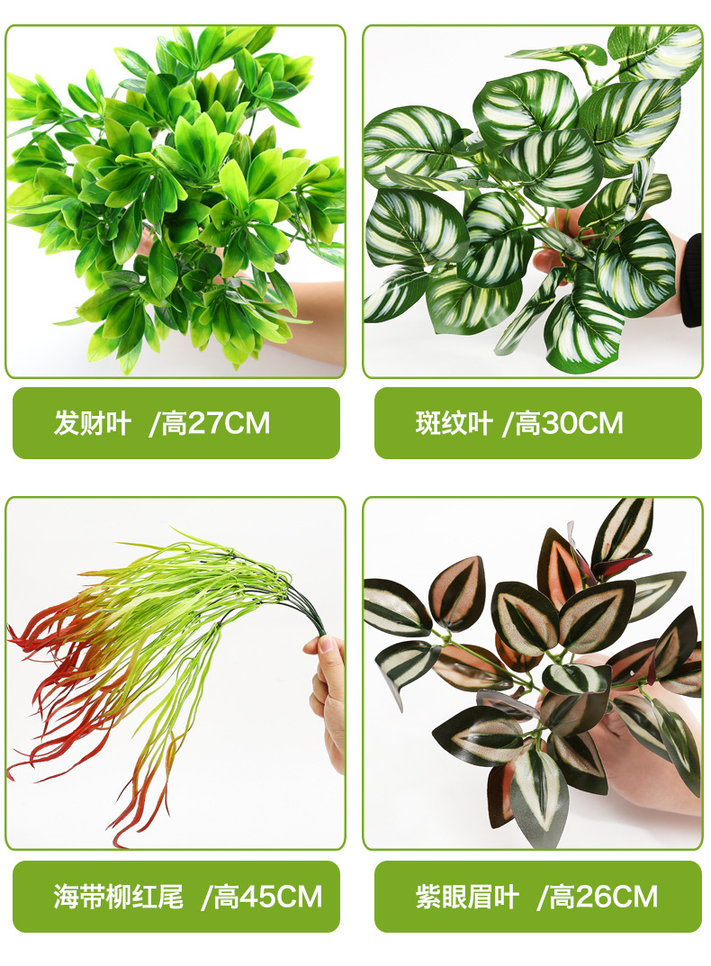 小植物_07.jpg