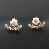 Fashionable hypoallergenic earrings, Korean style, flowered