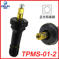 TPMS-01-2