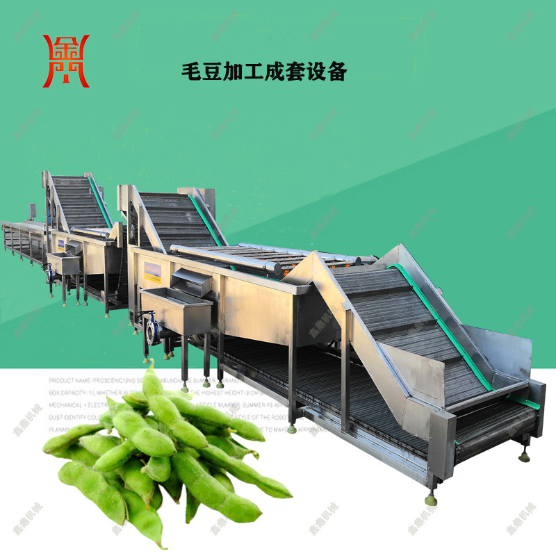 黑龙江毛豆清洗机 速冻毛豆加工成套设备 高压清洗去毛干净
