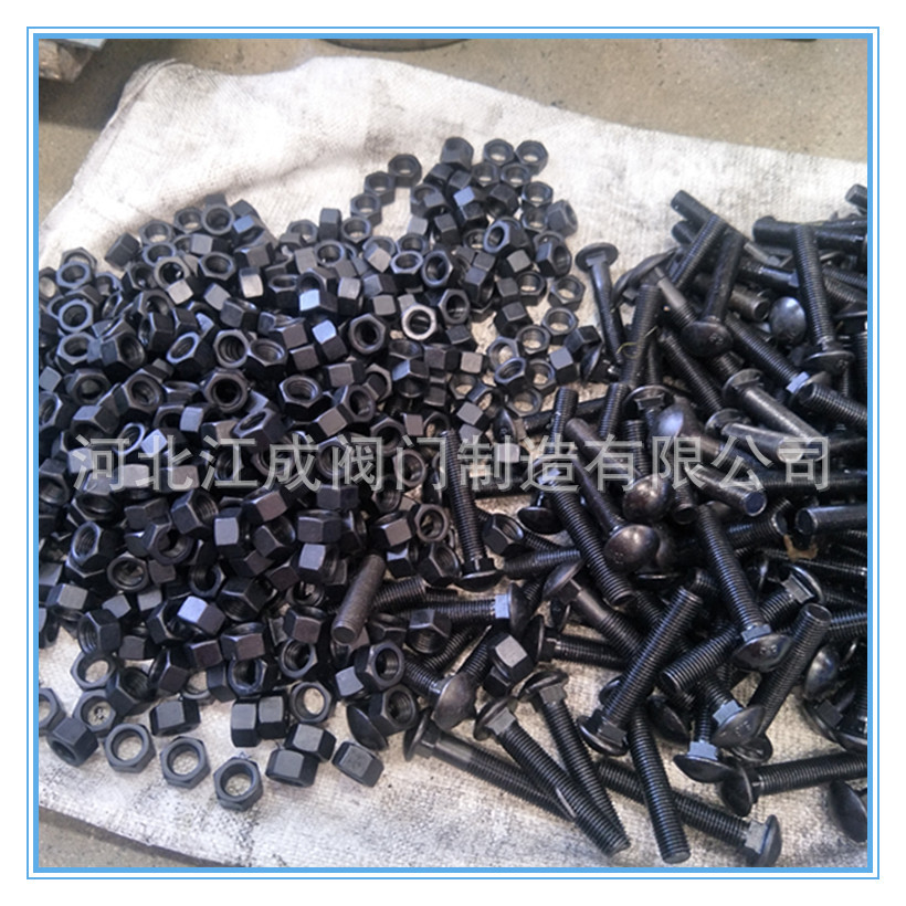 IMG20190517091950_副本