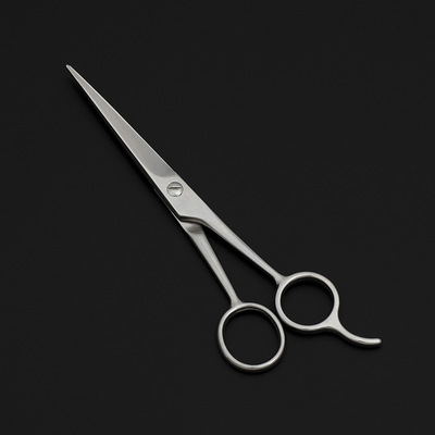 6.5寸全不锈钢平剪刘海剪理发美发剪刀家用发廊用 美妆工具|ru