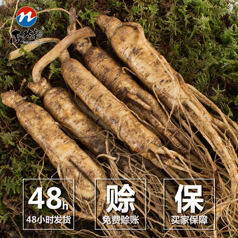 南北朝社区团购爆款长白山新鲜人参带土鲜人参产地货源规格可定制|ms