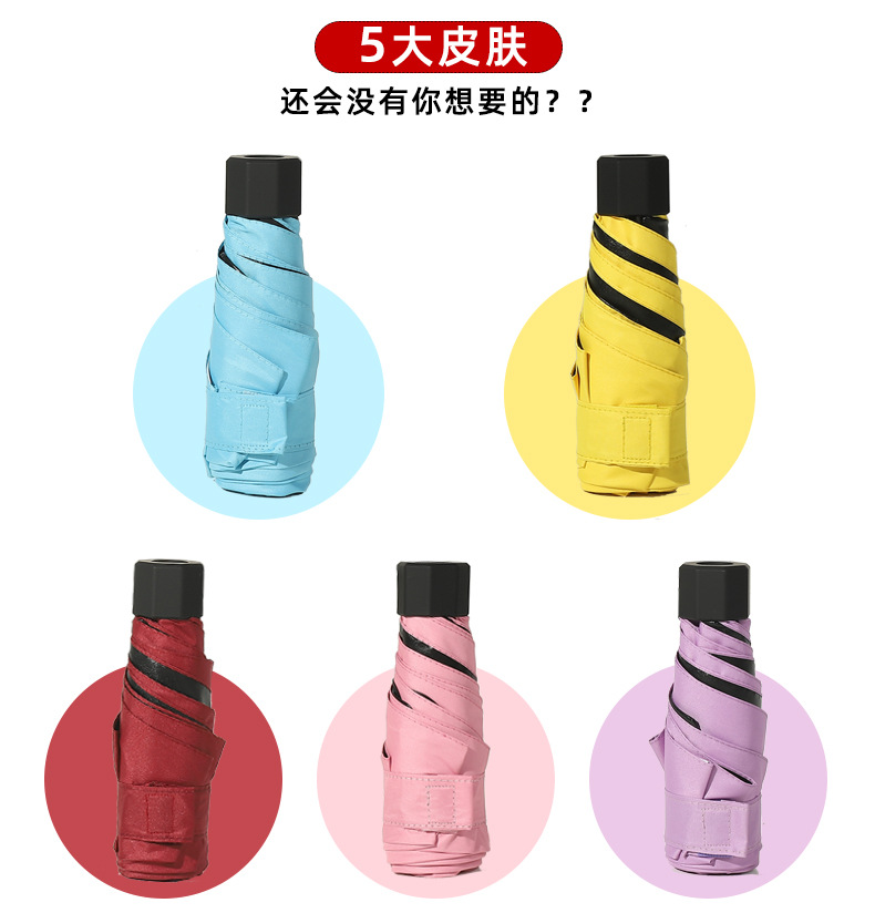 布朗熊详情页_08