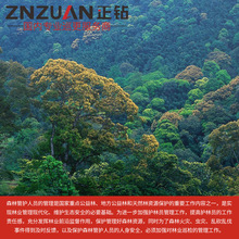 ֘IѲzϵyoֆTֈ֘IѲϵyѲ߉ѲѲ