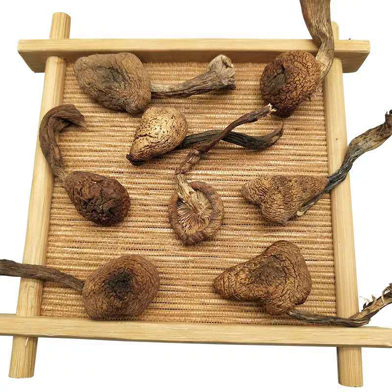 Dried Hazel Mushroom 500g Rootless Grade One Jilin Dried Mushroom for Chicken Stew quality and texture