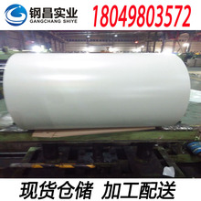 ��䓲ʉT�� ���ѩ��ɫ807 PE���������ɫ̖��С����ԇ�Ɖ���