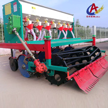 ײݲNC¿ײNCʹ󶹷NֲC18кֱC