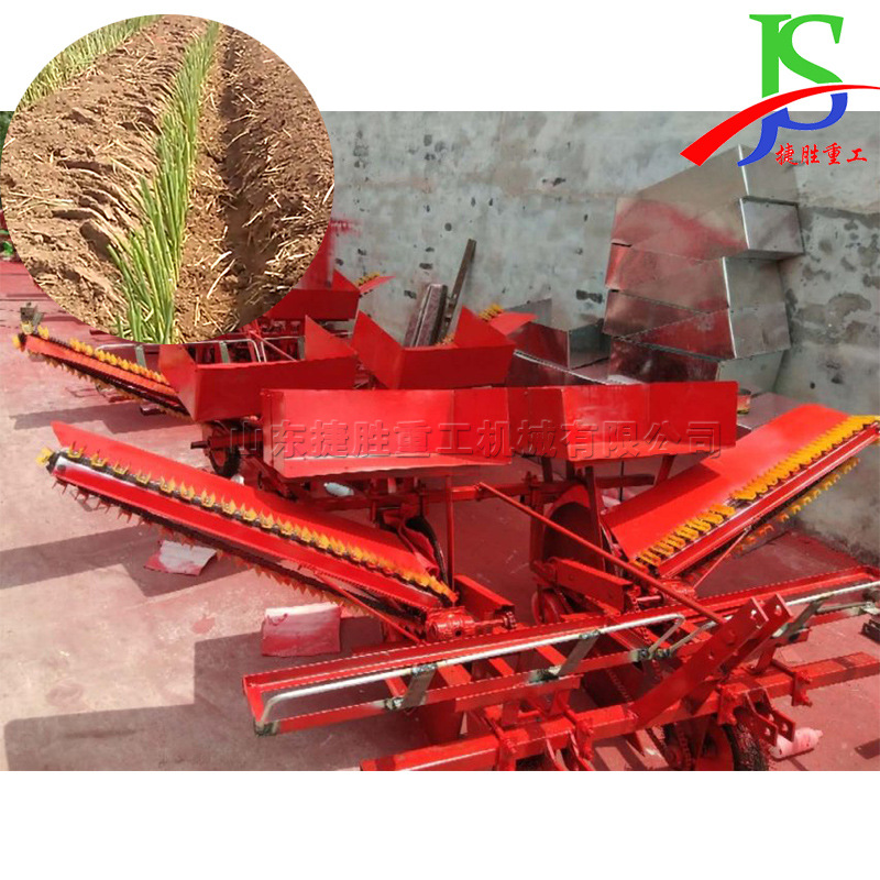 厂家供应东北 双行香葱种植机 座驾式大葱移栽机 辣椒苗栽苗机