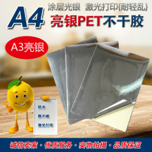 A4���y�����zPET�T��A3���yɫ��]��ˮ˺��������˺������ӡ��