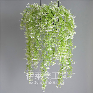 ���滨�ٗl ѩ���� ��Ʒֲ���� �Ҿ��҃Ȃ����OӋ�b�