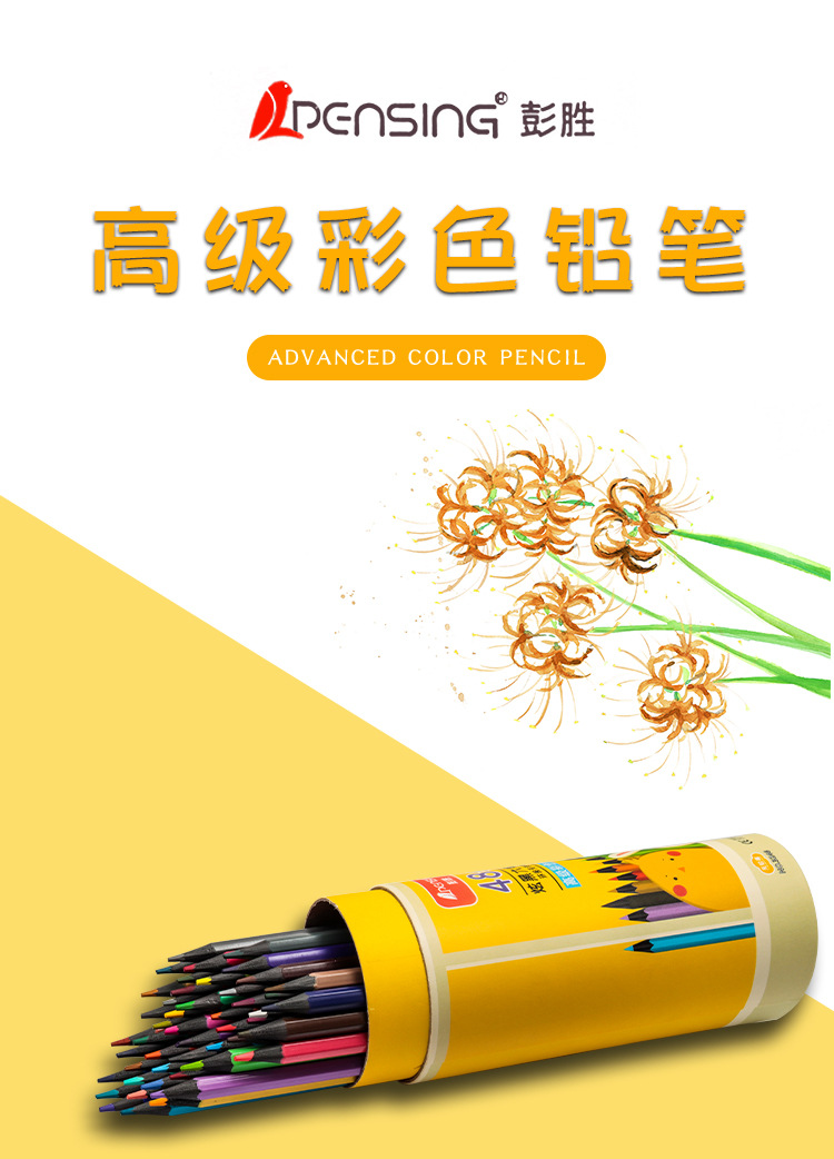 高级彩色铅笔_01.jpg