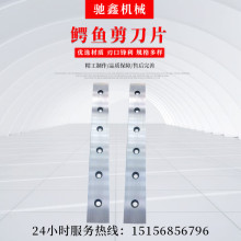 CƬ lʽCƬ [ʽCƬؼ嵶Ƭ