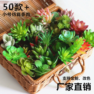 ���l �������ֲ�ﻨ�^�����֧diy�҃�ֲ��b��OӋ�����ָв�
