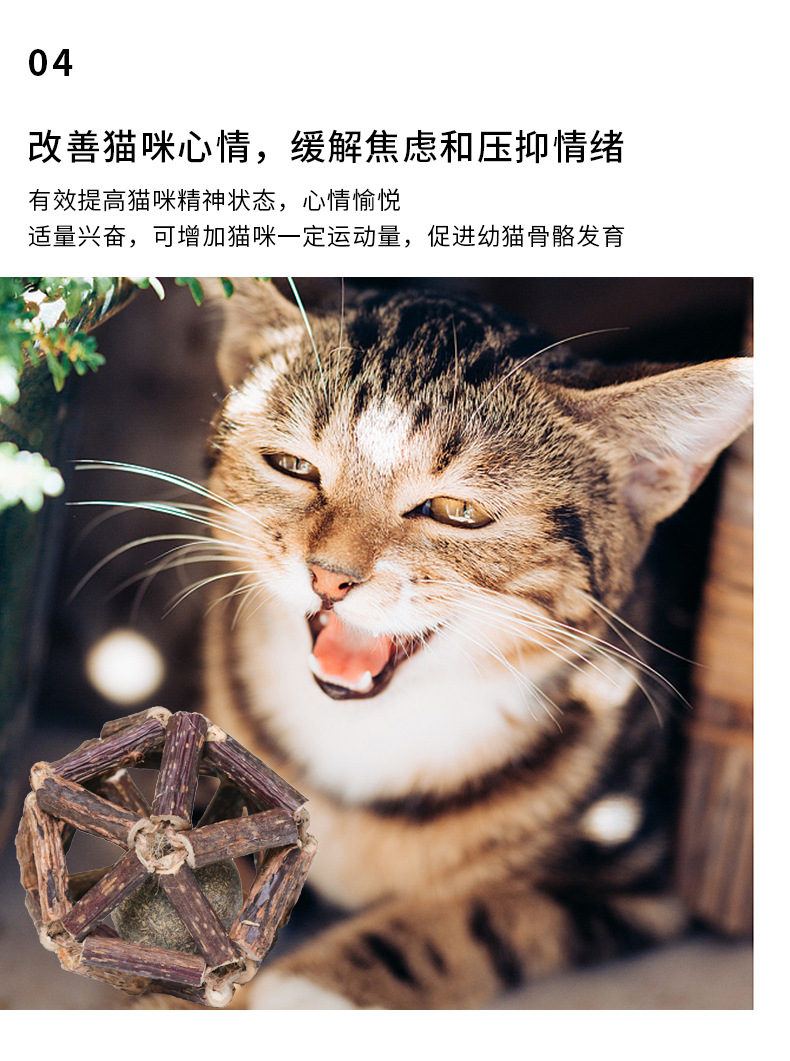 玲珑球_06.png
