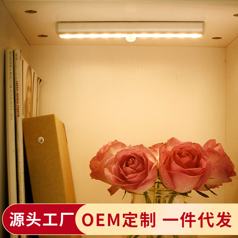 跨境专供电池款节能led人体感应灯10led红外感应灯家居智能小夜灯