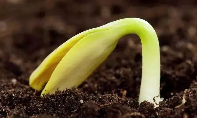 c1d5c30bb75a5c8d681114a8f7a8bd