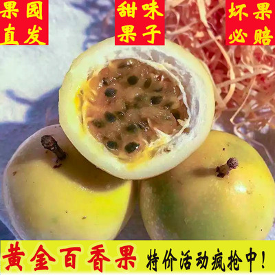 黄金百香果大果 一件代发产地直发西番莲百香果 甜百香果