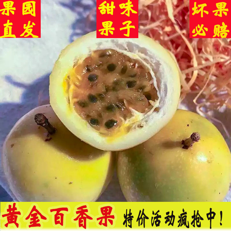 黄金百香果大果 一件代发产地直发西番莲百香果 甜百香果