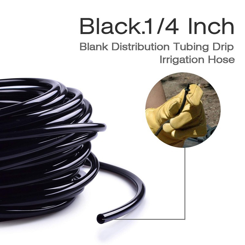 HTB1xf4NUNnaK1RjSZFBq6AW7VXab