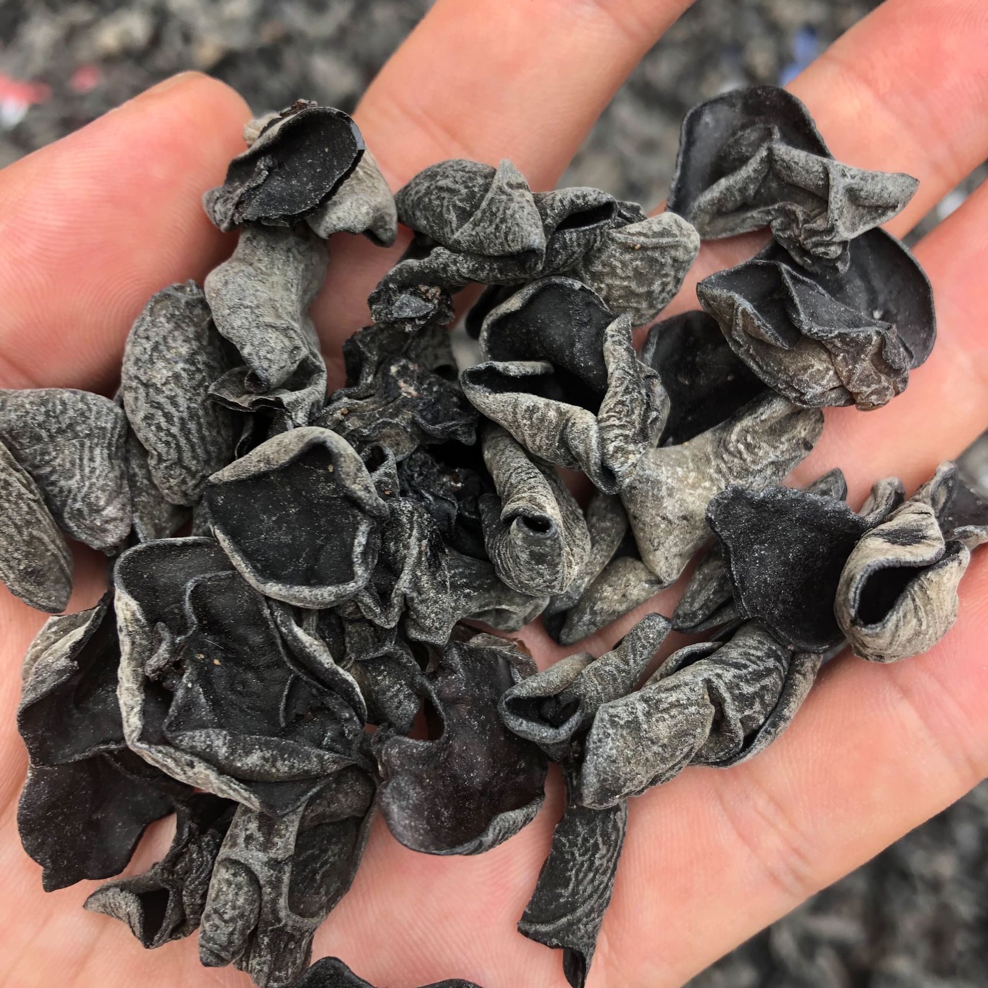 4DCE933561786F5D805553D069C512