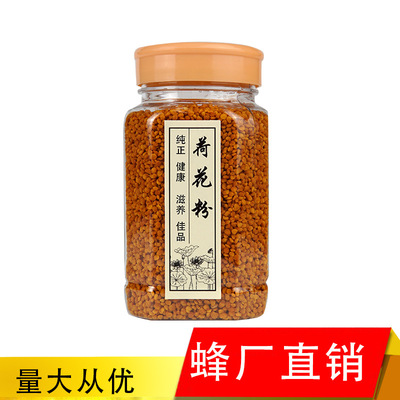 高生源荷花粉源头产品欢迎 批发量大从优|ru