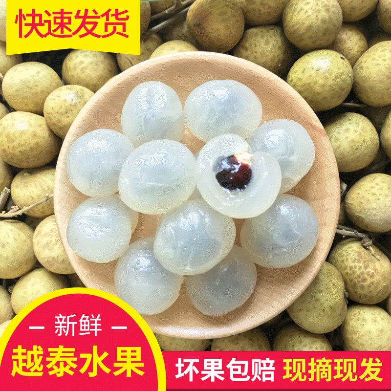 新鲜热带水果泰国龙眼桂圆批发 鲜甜多汁去枝龙眼 6a桂圆包邮代发|ru