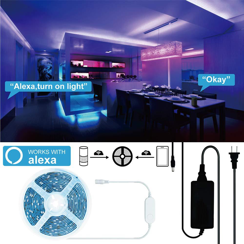 61GbzJwzcXL._SL1000_