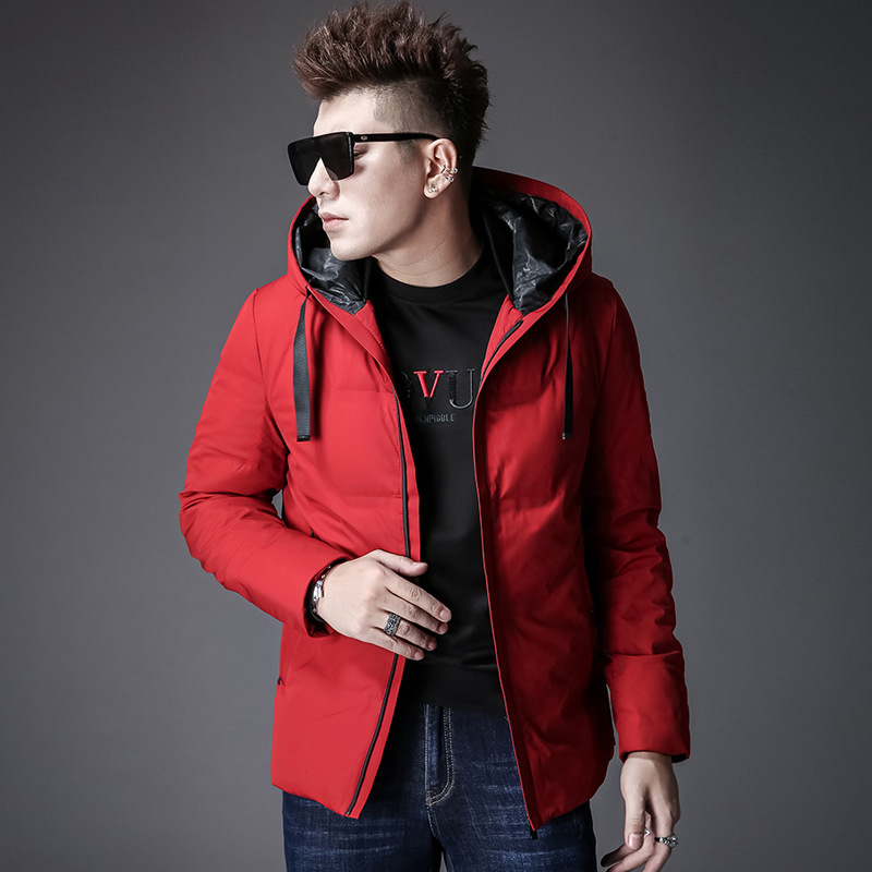 羽绒服男士2019冬季新款青年连帽男装羽绒服短款休闲外套一件代发