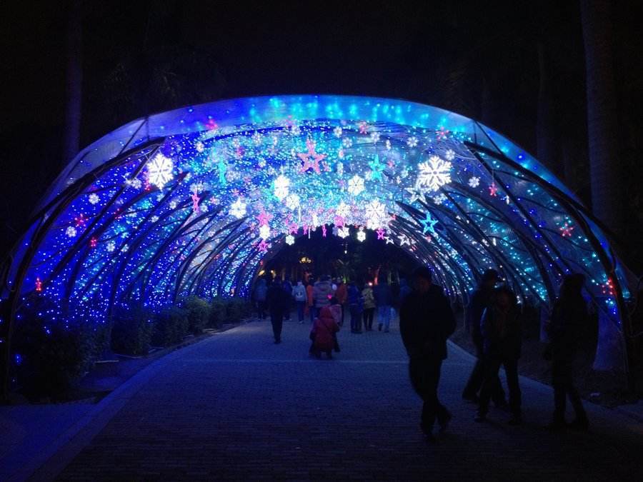 �Ϻ����⻨�Ʋʵ�������˾���׻���Ԫ�����ﴺ���������ӵ�