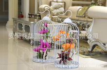 �����OӋ���B�\������ˇ�����Ƶ��b��滨��ػ�ˇ�[�O�[�Ż���