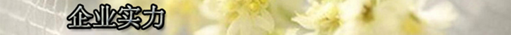 企业实力 1000x70
