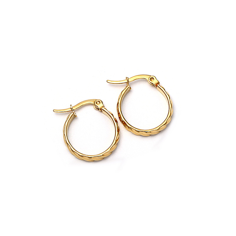 Titanium&Stainless Steel Fashion Geometric earring(Gold 2.0cm)Fine Jewelry NHIM1678-Gold-2.0cm