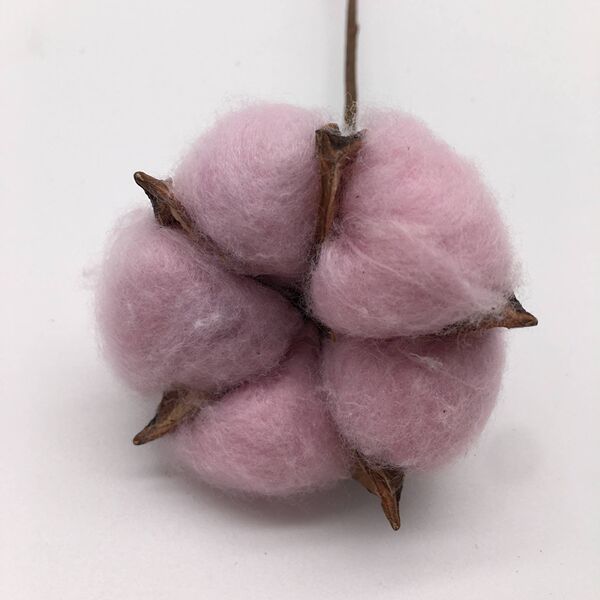 Cotton gift box