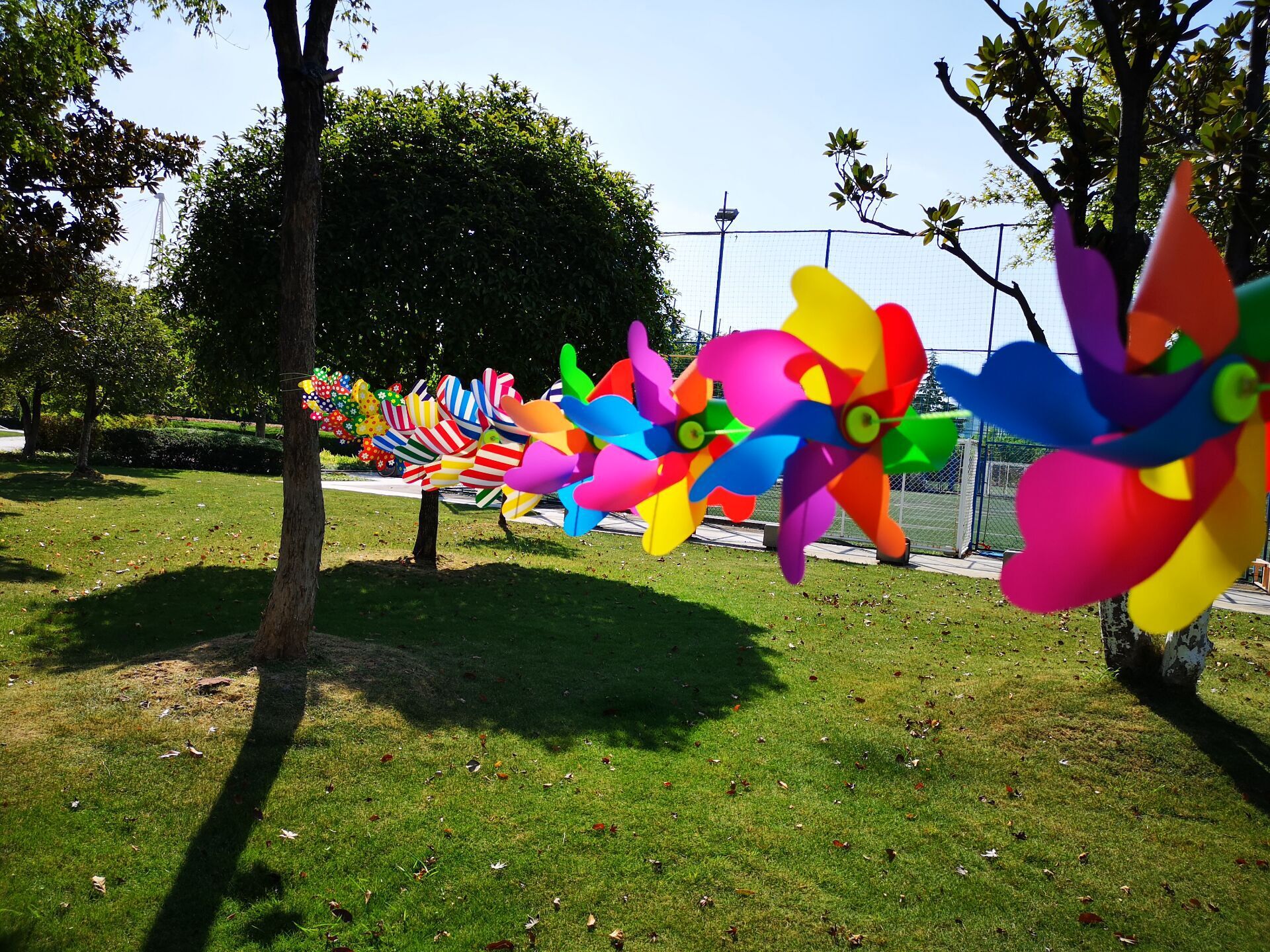 QQ图片20190923162958