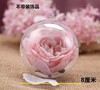 Transparent ball Christmas decoration hollow ball eternal flower hanging ball PS hi sugar box ball Christmas ball acrylic ball hanging ball