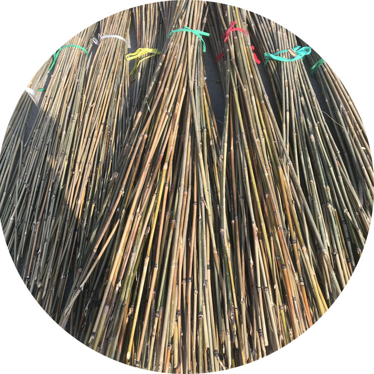 供应出口小竹竿 规格齐全 竹竿直径5-10mm长度30-90cm