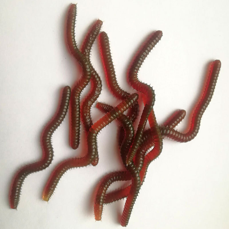 Fábrica al por mayor de pescado gusano rojo gusano cebo falso 50/100 piezas simulación Luya cebo suave cebo luminoso pequeña lombriz de tierra