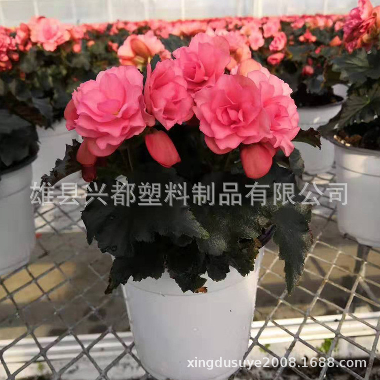 微信图片_20190731114855