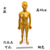 Acupuncture acupuncture points Human models can be tied with acupuncture, practice soft teaching Little bronze man, men and women's whole body meridian skin model