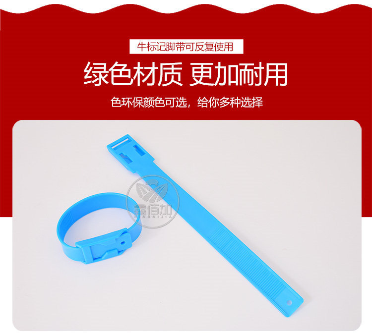 牛用标记脚带C详情页 (5).jpg
