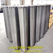 直销支轴网链链杆式网带耐高温支杆式网带不锈钢输送带网链输送带