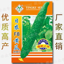 F8黄瓜种子 8克早熟高抗黄瓜种籽 四季春秋冬春季易种农家蔬菜籽