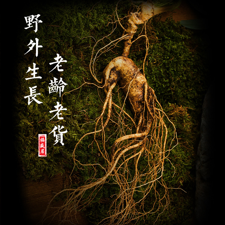 Changbai Wild ginseng Single net weight 50g about Soup Paojiu